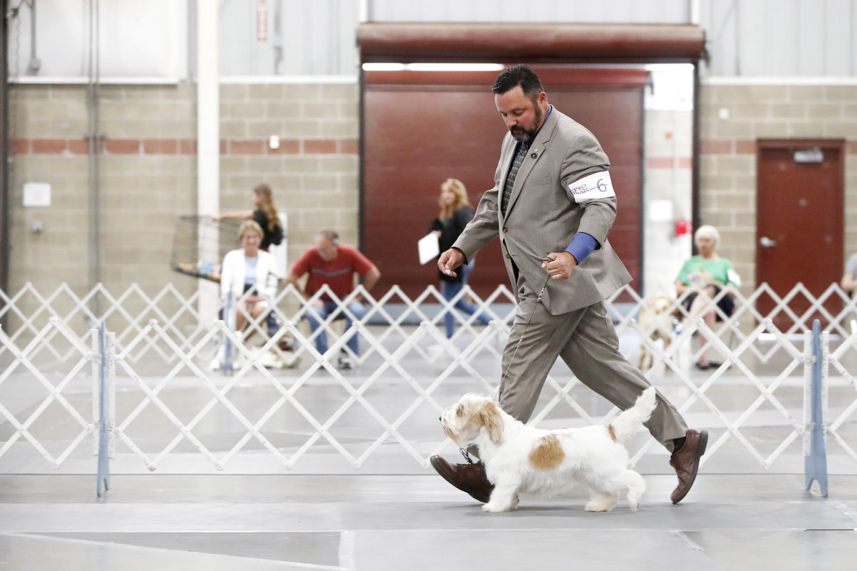 Yellowstone Valley Kennel Club All Breed Dog Show